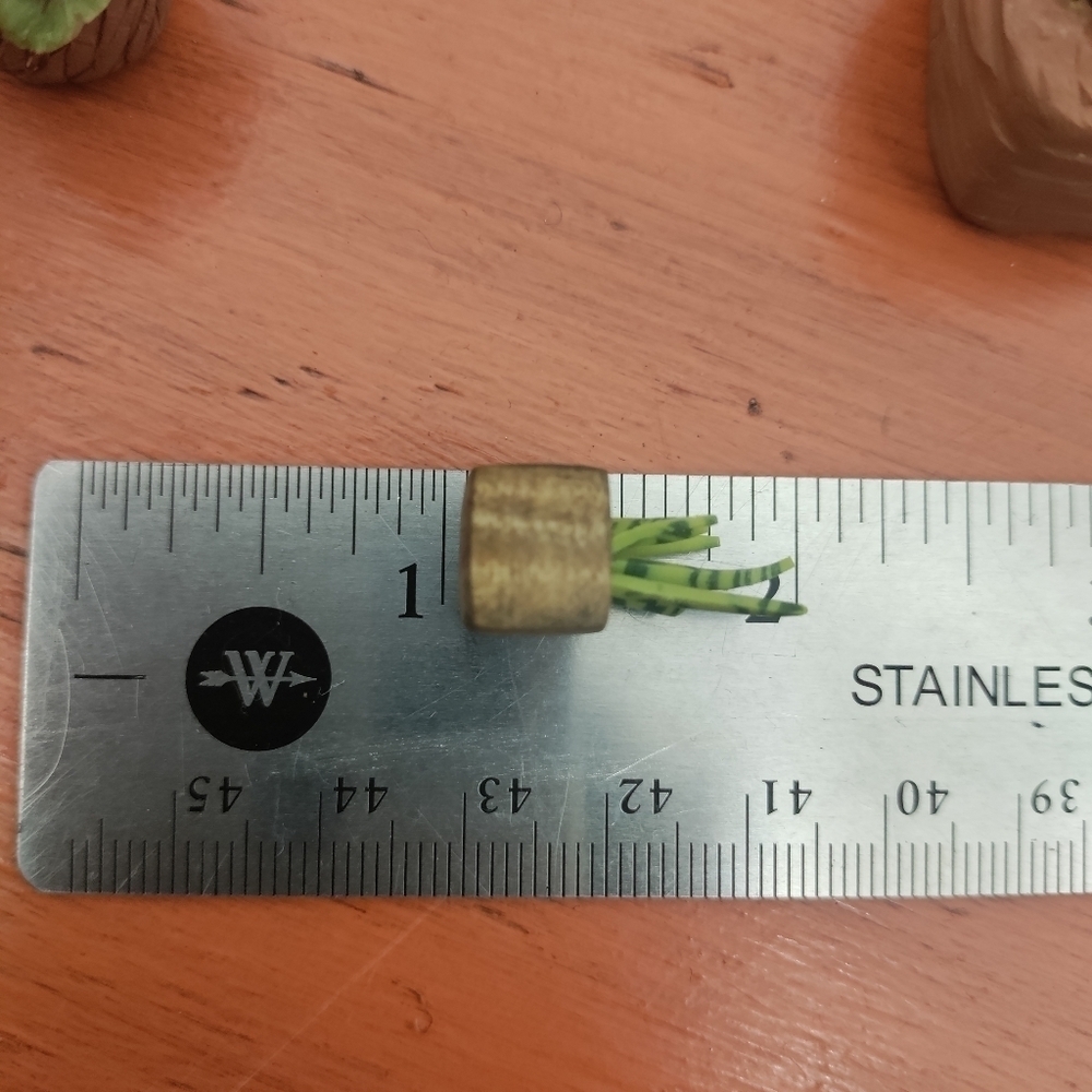 6 Polymer clay & tiger maple potted plants - Picture 8 of 11